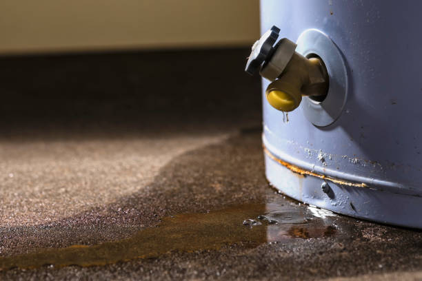 Best Water damage restoration process  in Sibley, IA