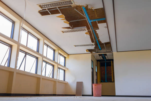 Best Mold removal after water damage  in Sibley, IA