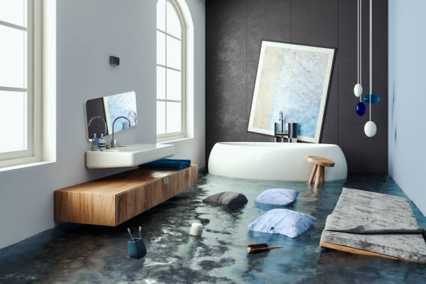Best Water damage cleanup near me  in Sibley, IA