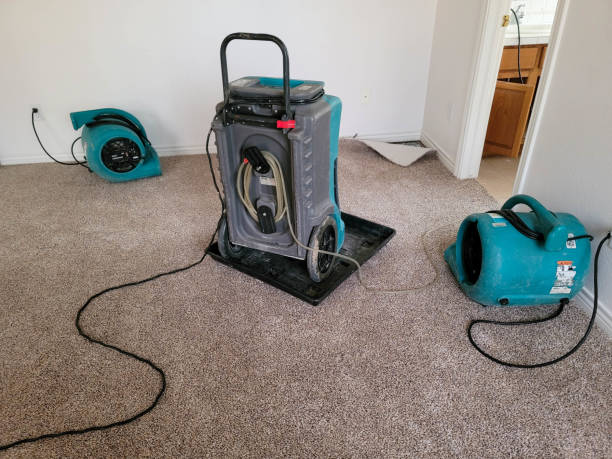 Best Carpet water damage restoration  in Sibley, IA
