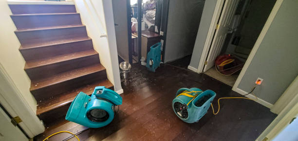 Local water damage restoration in IA