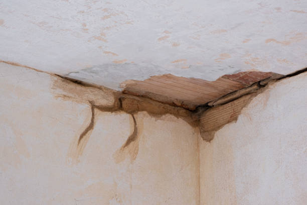 Best Water damage restoration near me  in Sibley, IA
