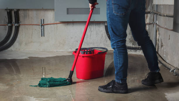 Best Water damage restoration specialists  in Sibley, IA