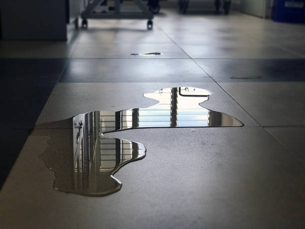 Best Commercial water damage restoration  in Sibley, IA