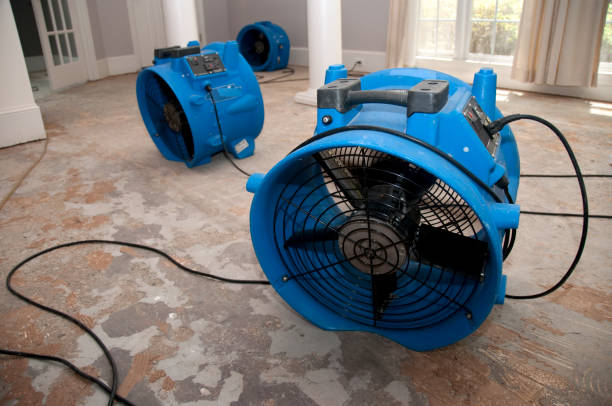Best Water damage restoration mold remediation  in Sibley, IA