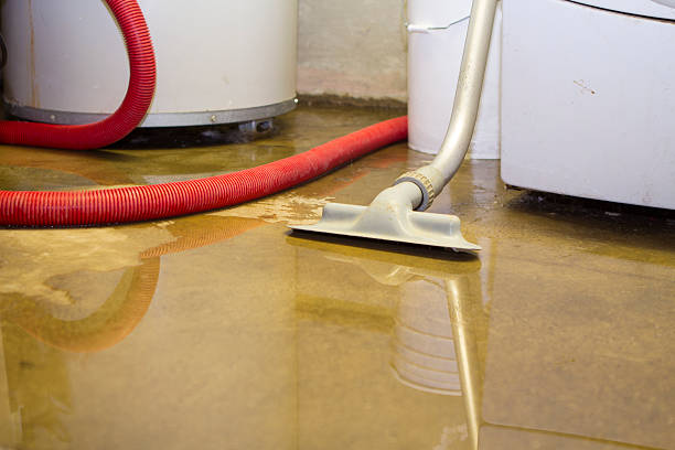 Best Emergency water damage restoration  in Sibley, IA