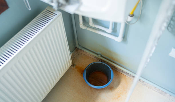 Best Water damage restoration near me  in Sibley, IA