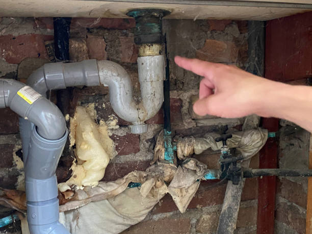 Best Local water damage restoration  in Sibley, IA