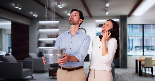 Best 24/7 water damage repair  in Sibley, IA